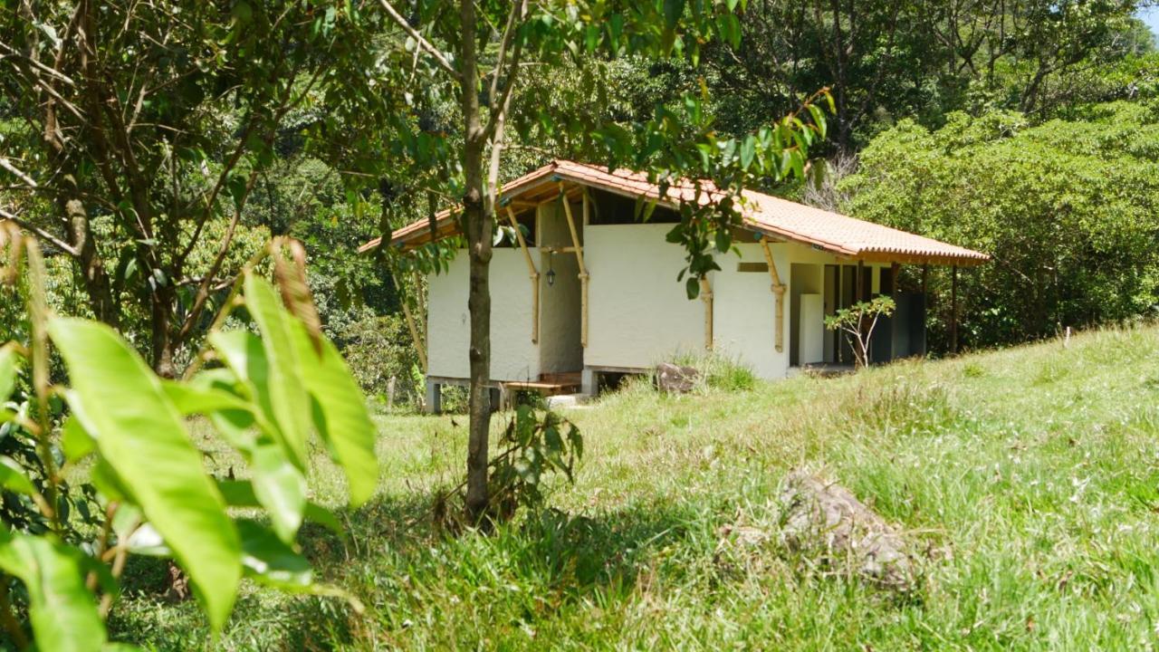 La Perla Negra - Black Pearl Eco Hostel 산 라파엘 외부 사진