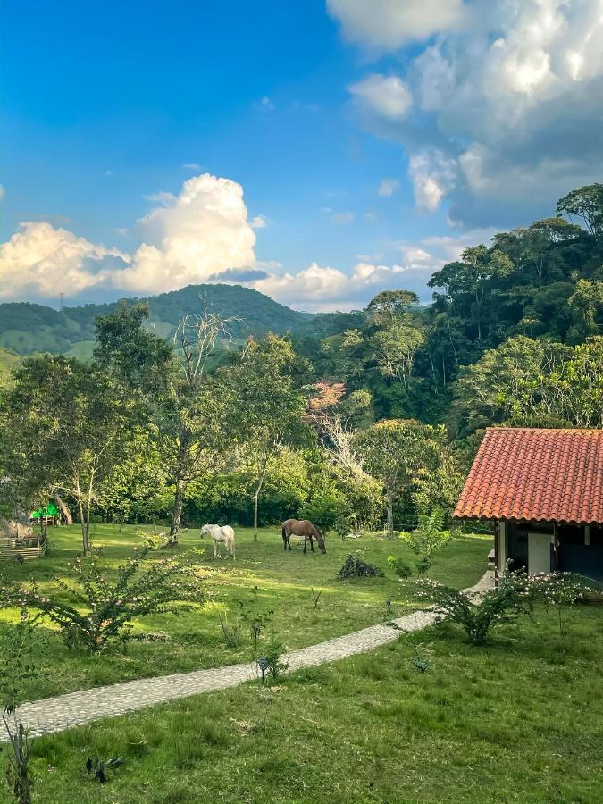La Perla Negra - Black Pearl Eco Hostel 산 라파엘 외부 사진