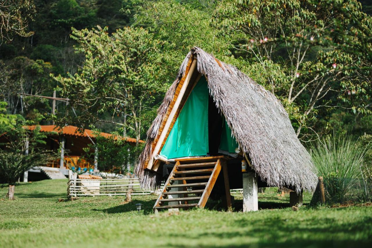La Perla Negra - Black Pearl Eco Hostel 산 라파엘 외부 사진