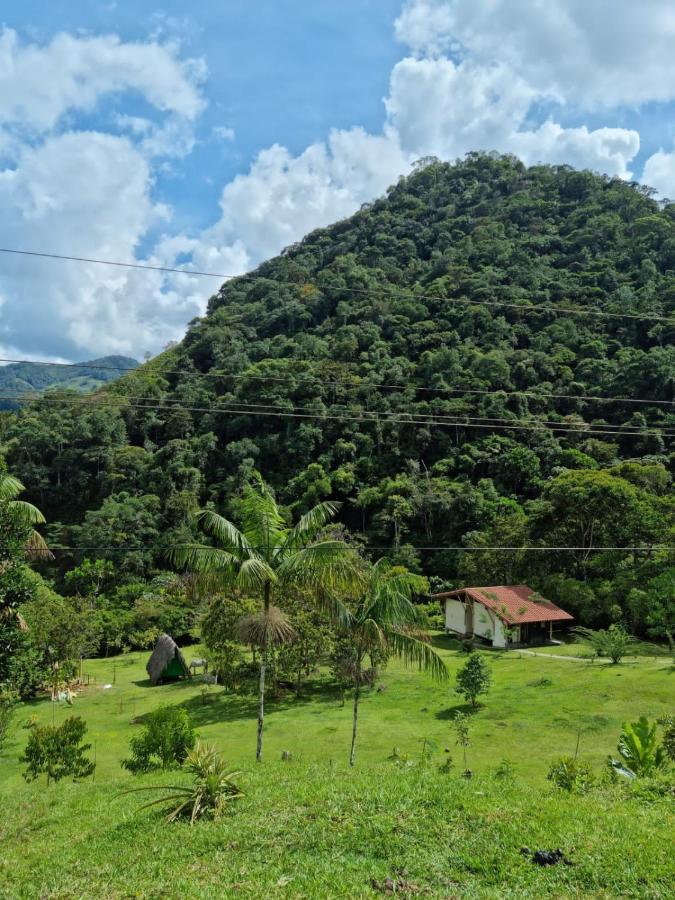 La Perla Negra - Black Pearl Eco Hostel 산 라파엘 외부 사진