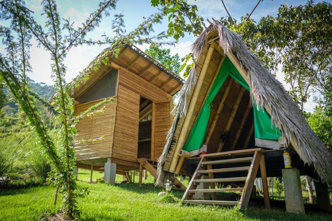 La Perla Negra - Black Pearl Eco Hostel 산 라파엘 외부 사진