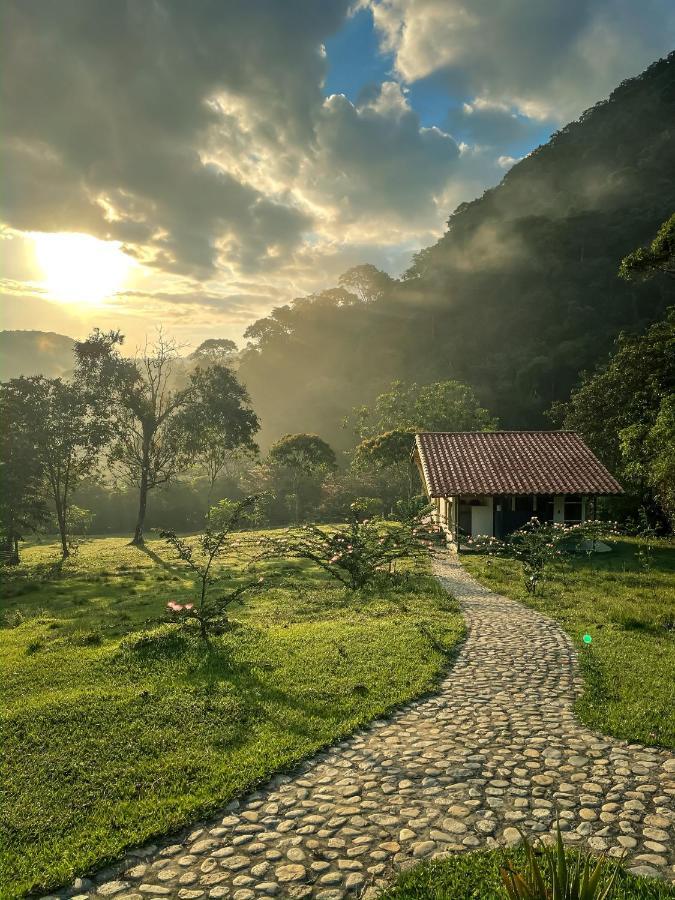 La Perla Negra - Black Pearl Eco Hostel 산 라파엘 외부 사진