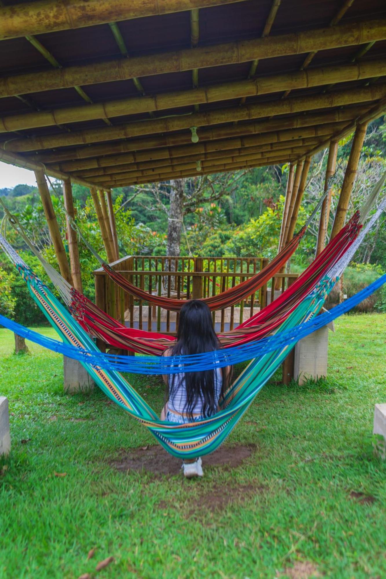 La Perla Negra - Black Pearl Eco Hostel 산 라파엘 외부 사진